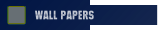 Wall Papers